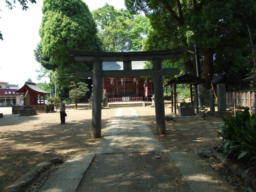 MIst -Dさん専用 カット済み ランドクルーザー 250 フロント用 エンブレム